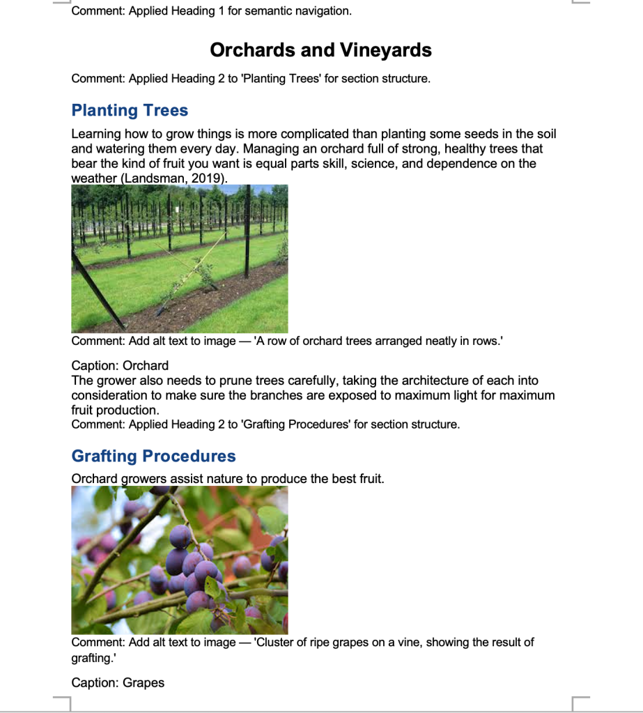 Screenshot showing revised headings, descriptive comments, and image alt text suggestions.