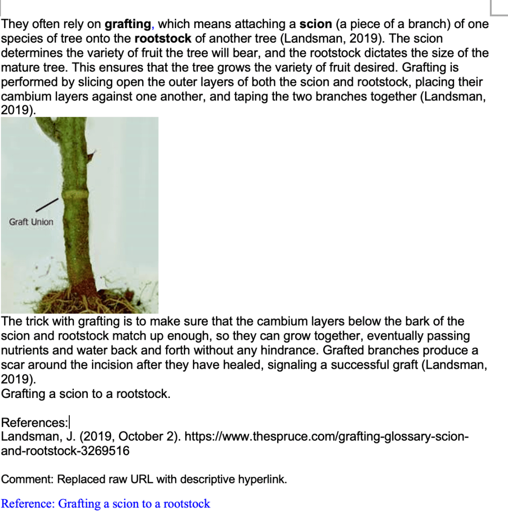 Screenshot showing revised headings, descriptive comments, and image alt text suggestions.