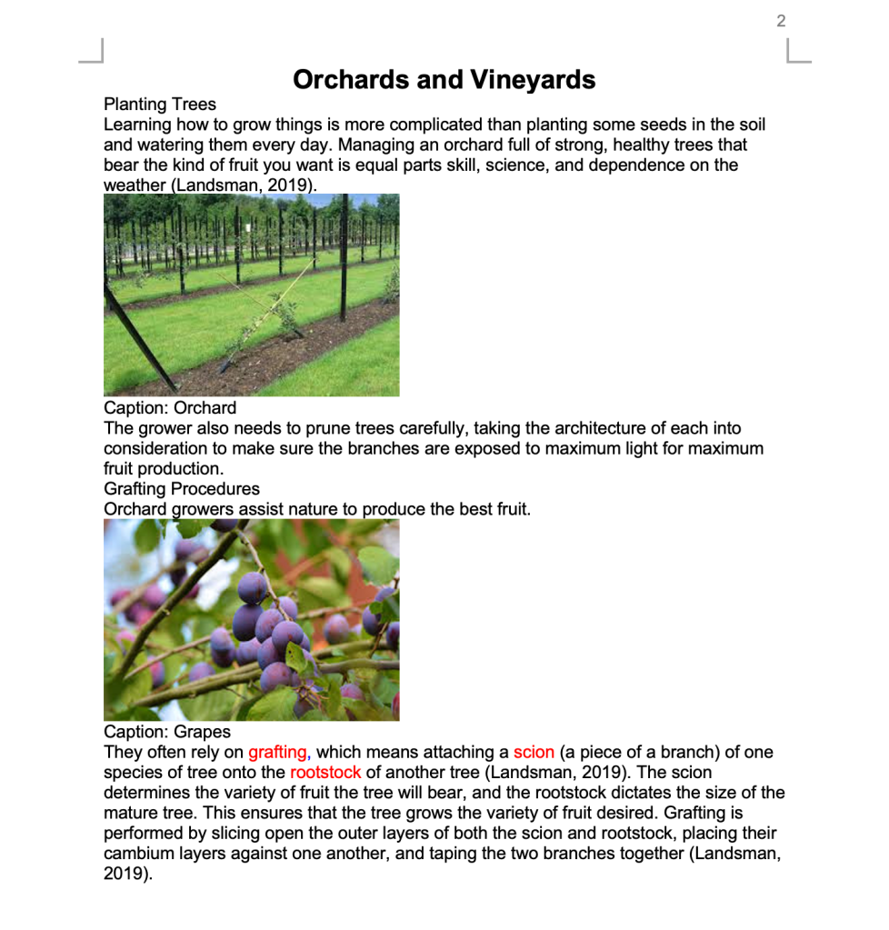 Screenshot showing red-colored text, basic headings, and an unlinked raw URL.